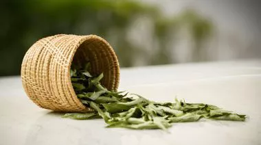 garnishing-instructions-image